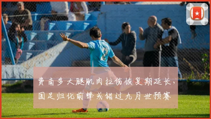 费南多大腿肌肉拉伤恢复期延长,国足归化前锋或错过九月世预赛